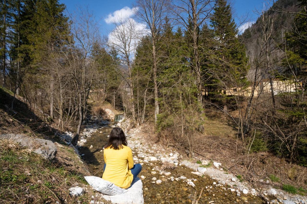 Butterfly Cottage By The Creek Tržič Exterior foto